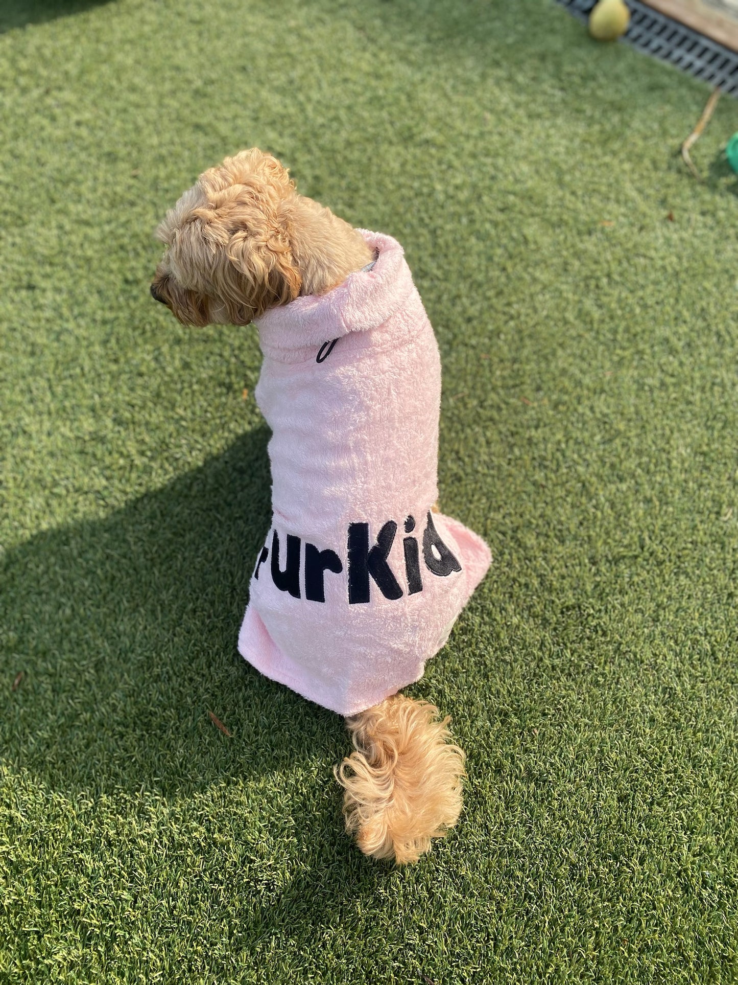 Furkid Beach and Bathrobe