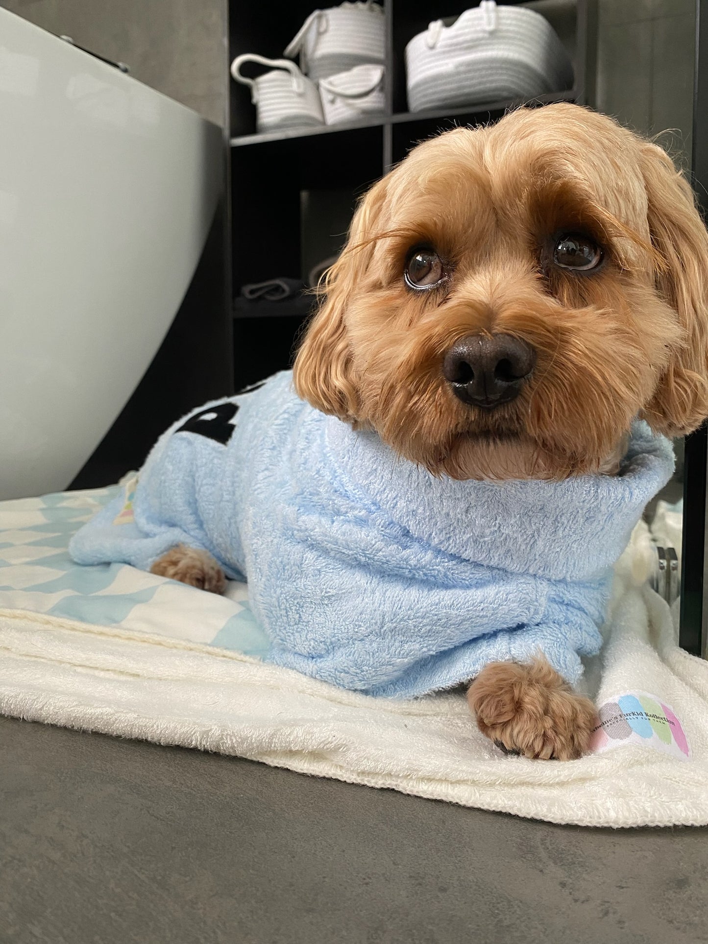 Furkid Beach and Bathrobe