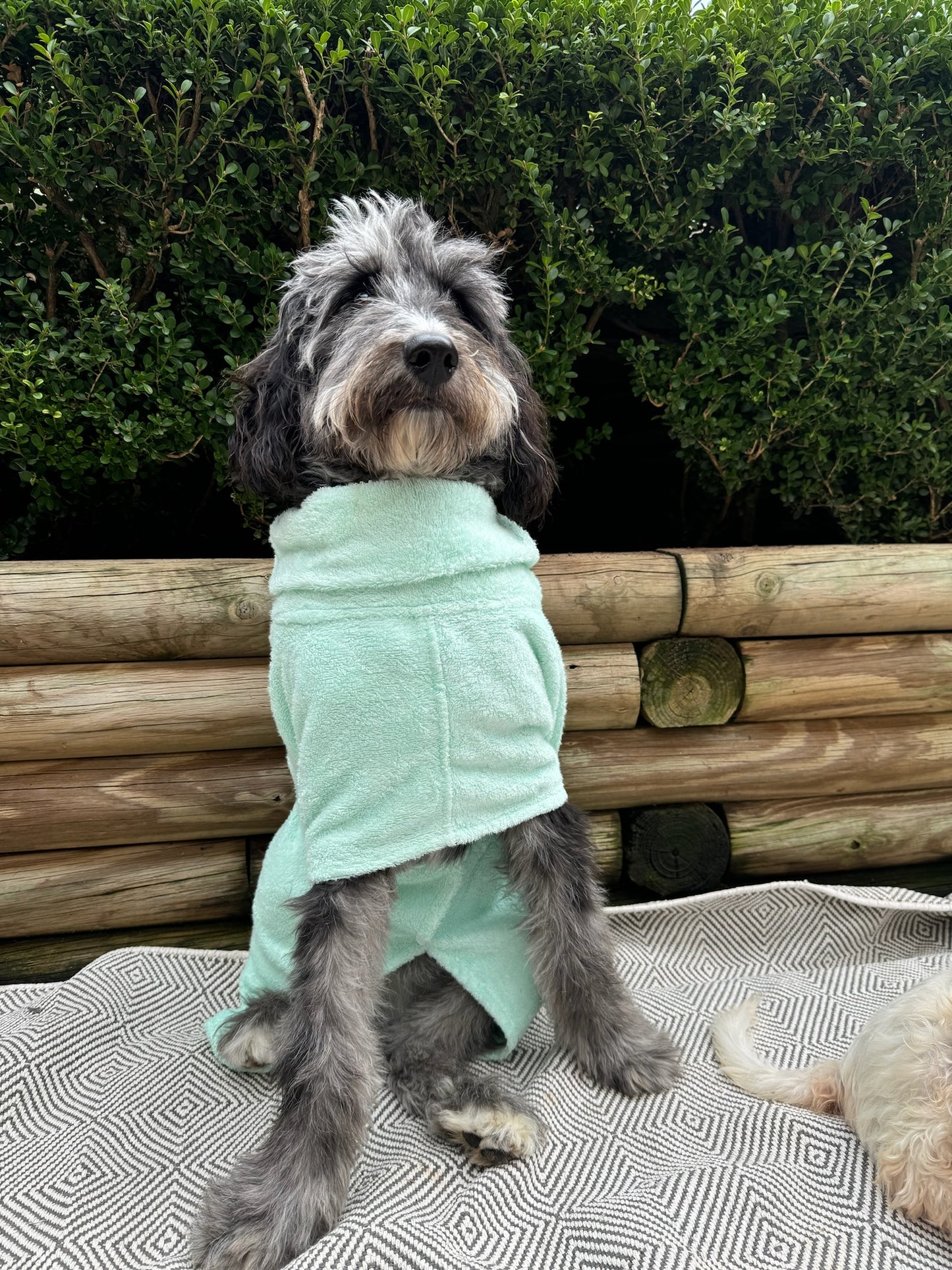 Furkid Beach and Bathrobe