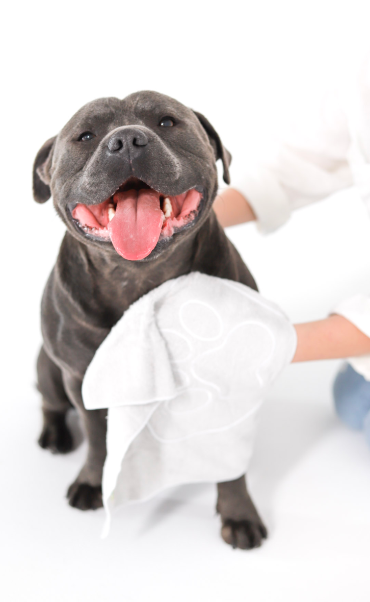 Paws and Dry Hand Towel