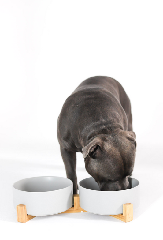 Twin Set Dog Bowls